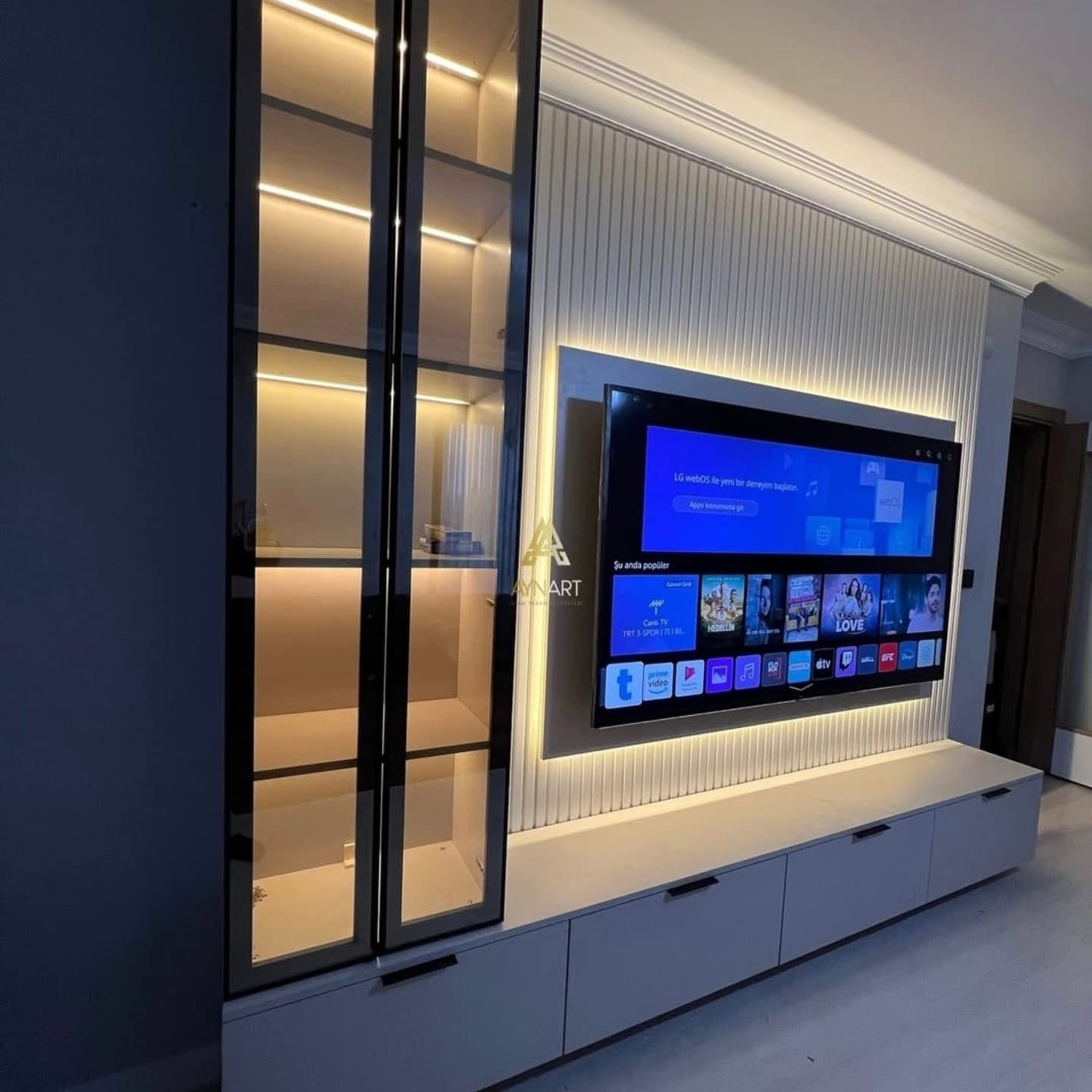 TV Ünitesi 1